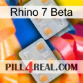 Rhino 7 Beta 25